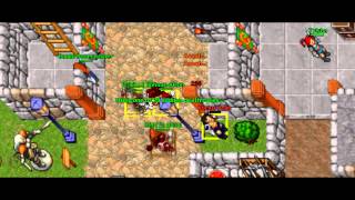 Tibia Pk Valoria 2013 - The Alcons [HD]