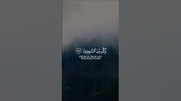 القارئ إسلام صبحي | تلاوة هادئة❤