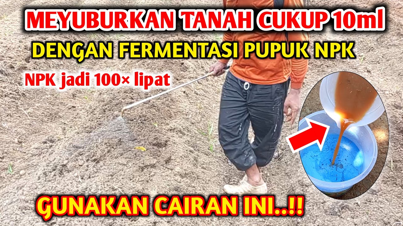 Dahsyatnya dan lebih irit Rahasia Membuat NPK mutiara jadi 10× Lipat dan fermentasi pupuk kimia