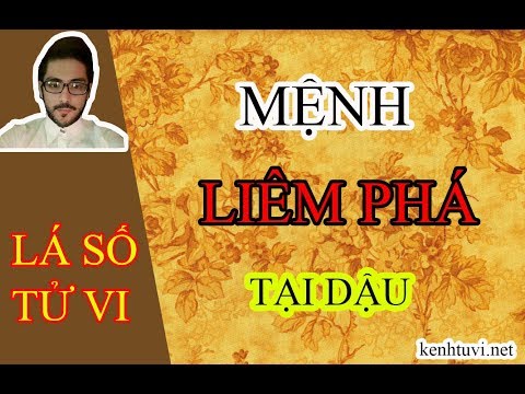 Lá số mệnh Liêm Trinh Phá Quân tại Dậu