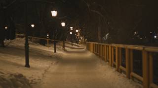 Snowy Tartu screenshot 3