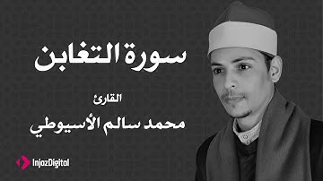 القارئ محمد سالم الأسيوطي - سورة التغابن