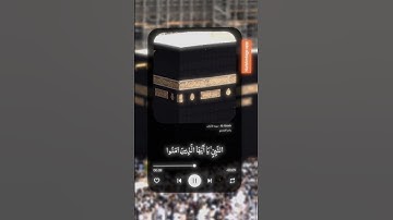 قران كريم إن الله ملائكته يصلون على النبي #قران_كريم #quran #اللهم_صلي_على_نبينا_محمد #ذكر_الله