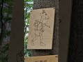 Dzieci prosiły nie śmiecić, ale ktoś zrobił na złość 🌞🌳