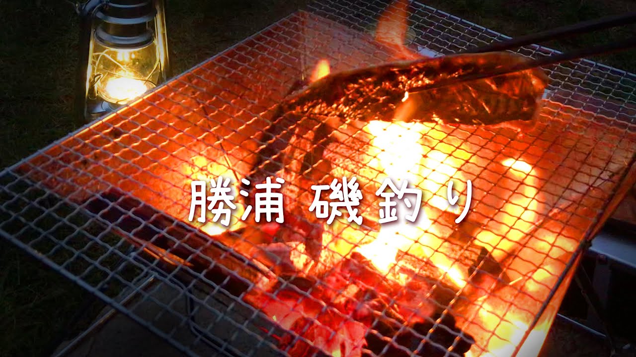 千葉県 房総半島 勝浦　磯で金鯖釣り