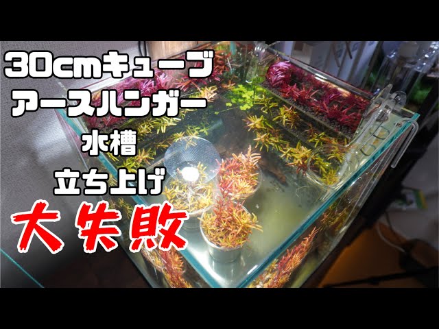 30cm Cube Earth Hanger Tank] Do Not Set It Up This Way! I Failed
