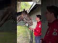We hyped up fr fr 🤪 #kentuckyderby #opera #horsehumor