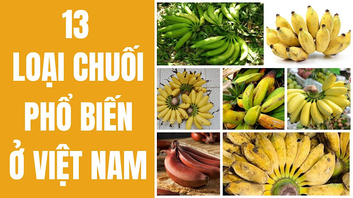 So sánh chuối tây và chuối tiêu năm 2024