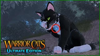 Spring Code Ideas?!?  Warrior Cats Ultimate Edition 