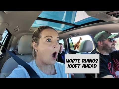 We found wild giraffes in TEXAS?!