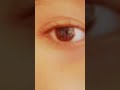 #lashes