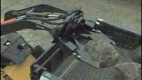 Bush, Tree, & Invasive Plant Removal with JAWZ