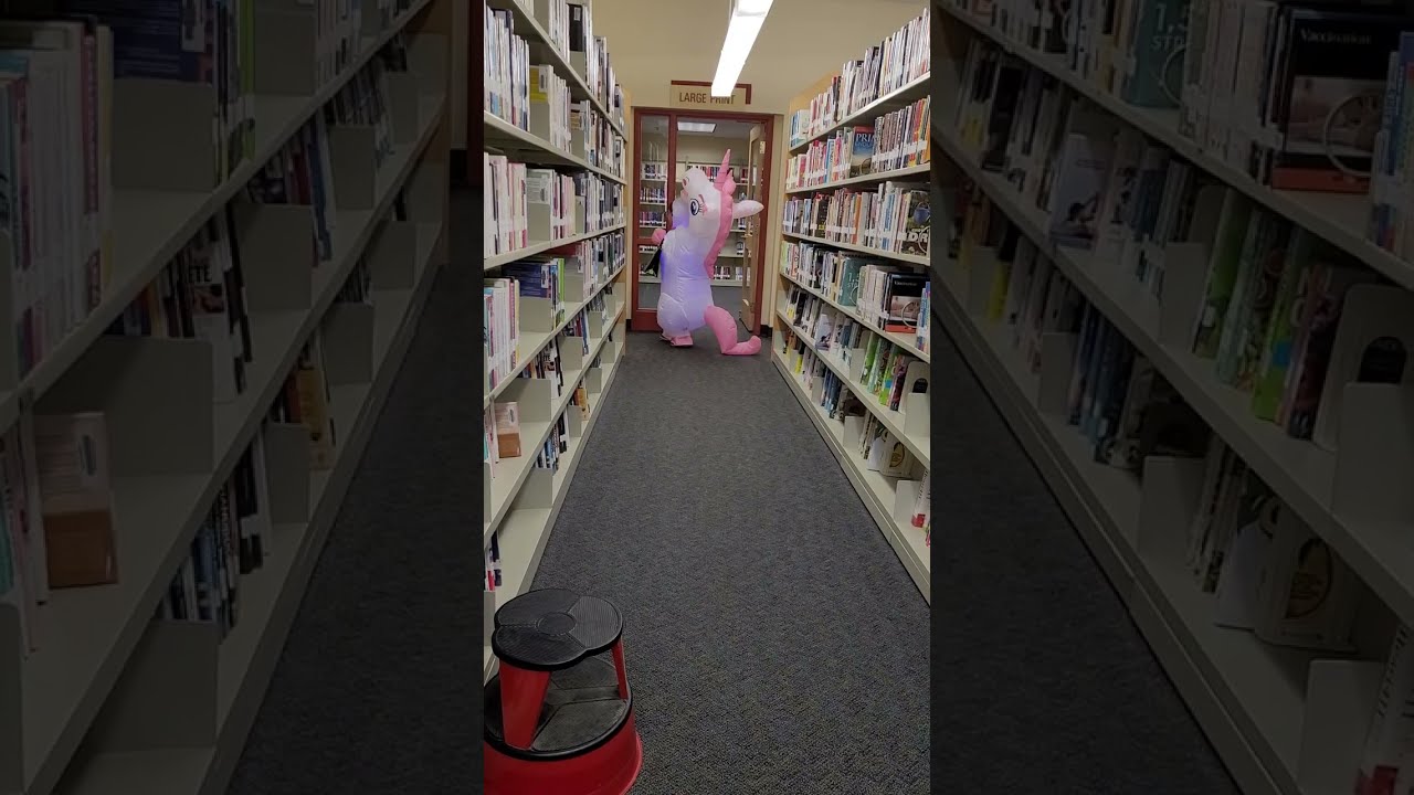 Finding the perfect book