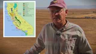 Introduction to the Grasslands and Vernal Pools of California
