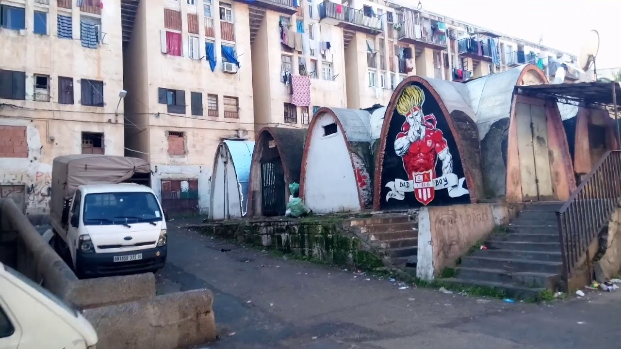 ديار المحصول يوم 19.01.2021