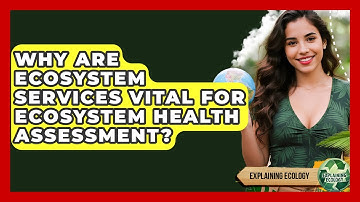 Why Are Ecosystem Services Vital For Ecosystem Health Assessment? - Explaining Ecology