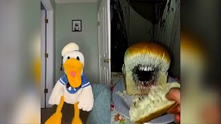 Donald Ducc SCARIEST TikToks 189 (DO NOT BE SCARED CHALLENGE)