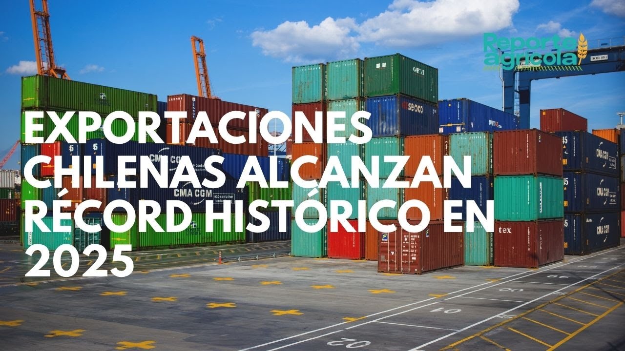 Exportaciones chilenas alcanzan récord histórico en 2025