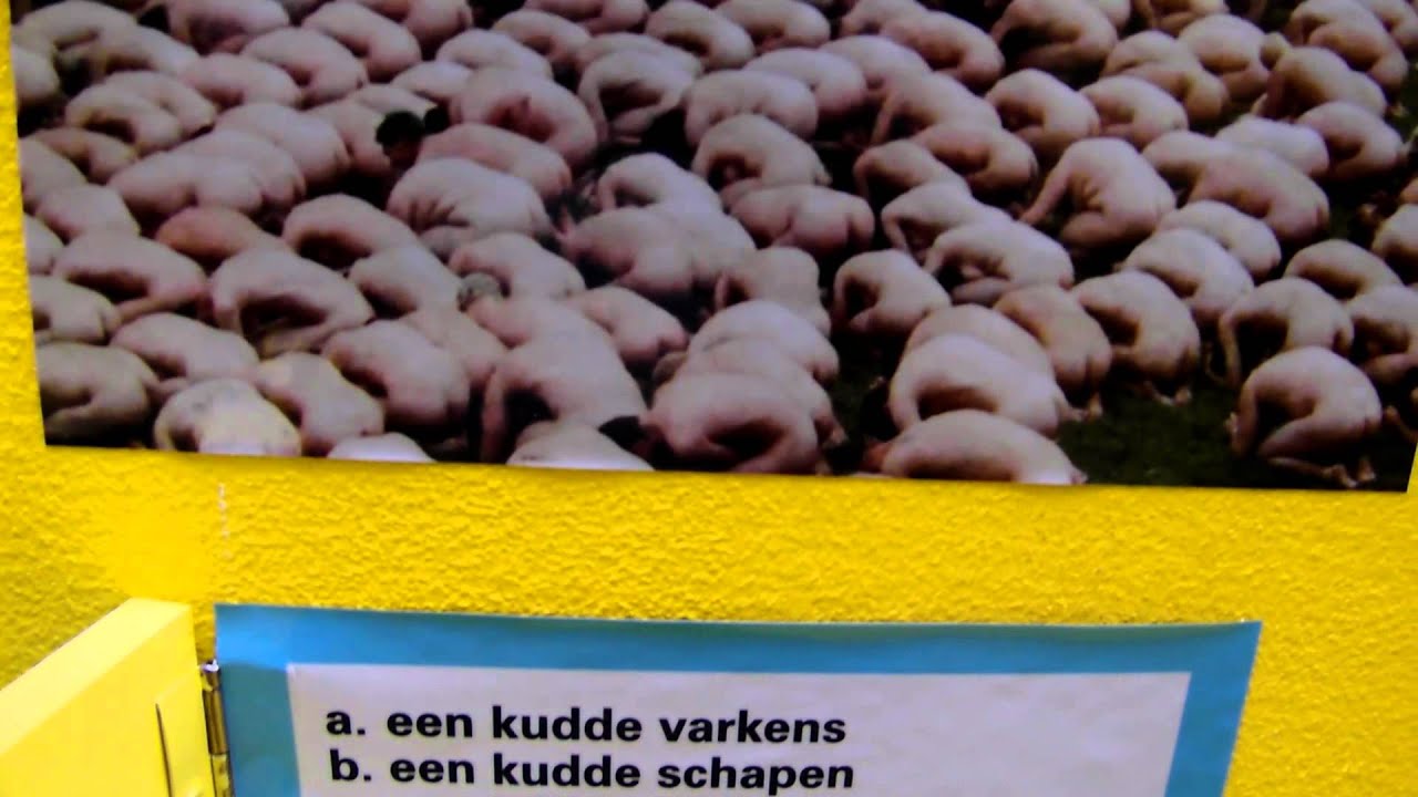 Breda: het MOTI museum, een kudde blote mensen is de oplossing!! - YouTube