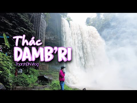 Video Chạy xe 300km để khám phá thác Damb'ri, đầm ấm giữa... - youtube