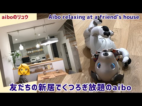 【お気に入り】すっかり気に入った新居でやらかしてしまうリュウくん