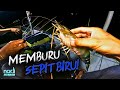 MEMBURU SI SEPIT BIRU! Saiz BESAR Dekat Spot Ni! | Batak Rabit Teluk Intan | v118