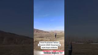 Yarışına Uçan Kuşun Resimi