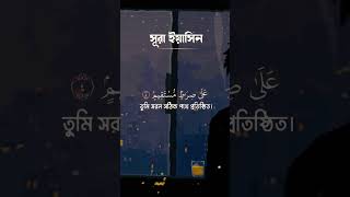 সুরা ইয়াসিন মন মুগ্ধ তেলওয়াত #4kstatus #viralreels #hit2026