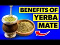 What happens to your body when you drink yerba mate tea  yerba mate benefits