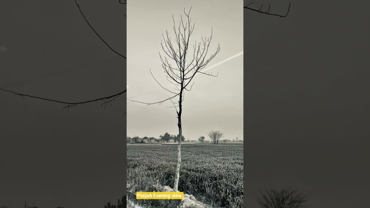 punjab Village lifestyle #wanderlust #travel