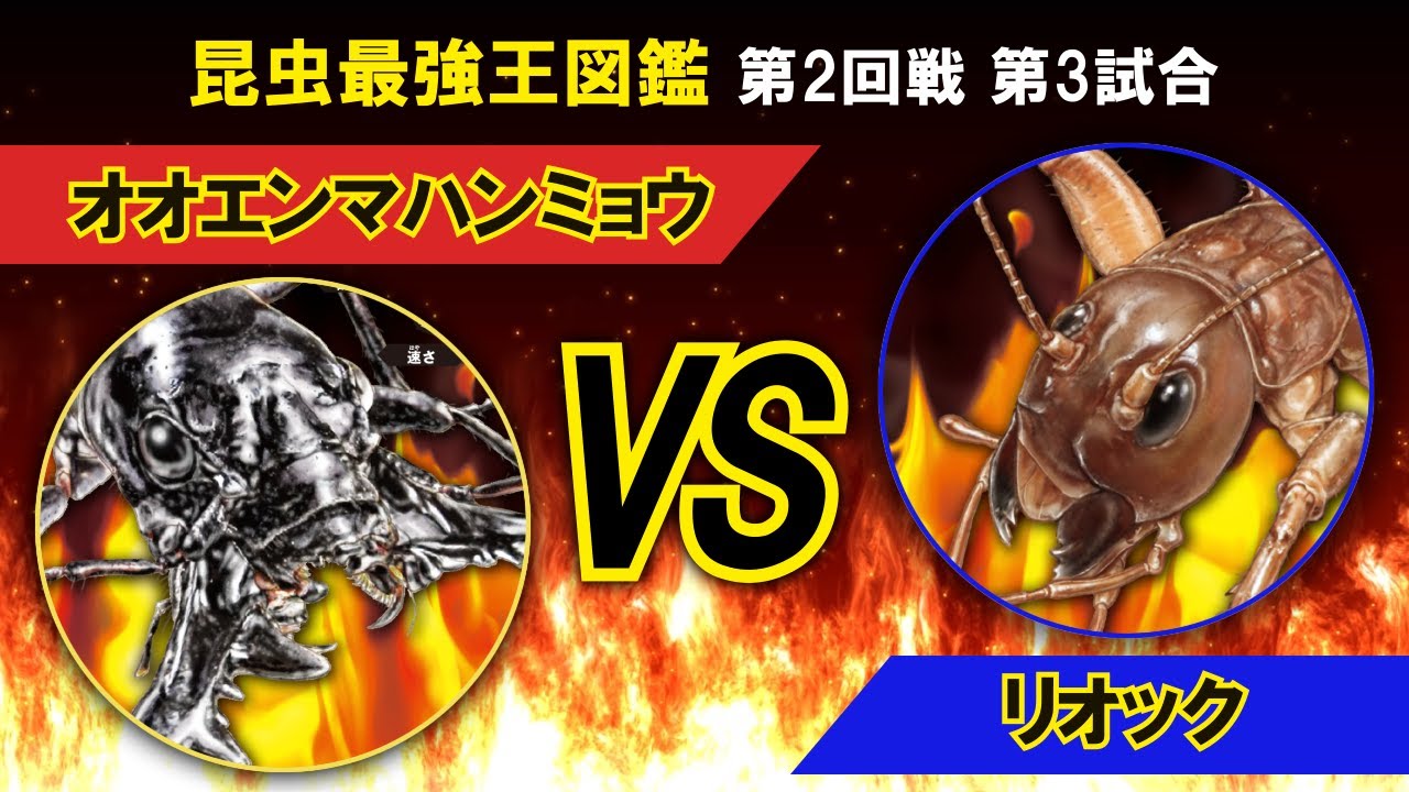昆虫最強王図鑑第2回戦3試合 - YouTube