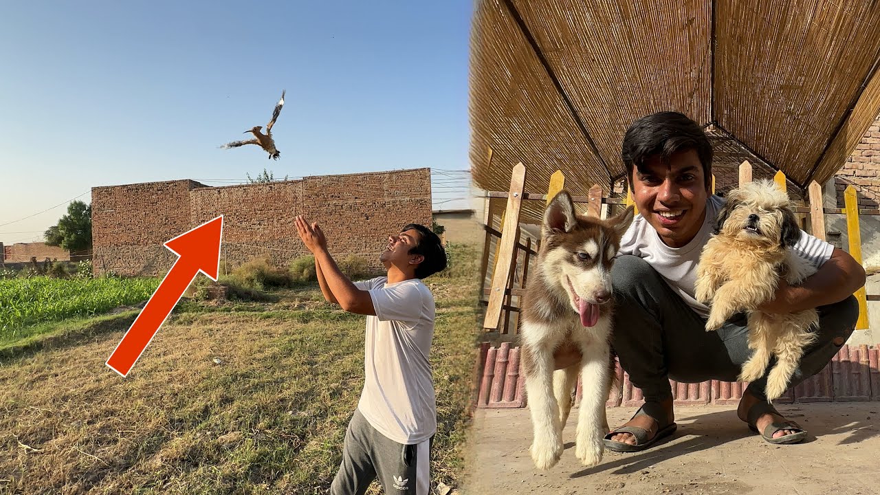 Hud Hud Ko Azad Kr Dia 😍