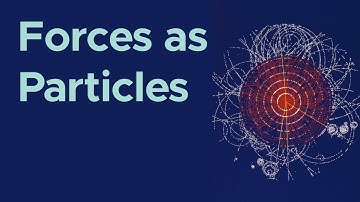 Forces/Bosons in the Standard Model | HSC Physics