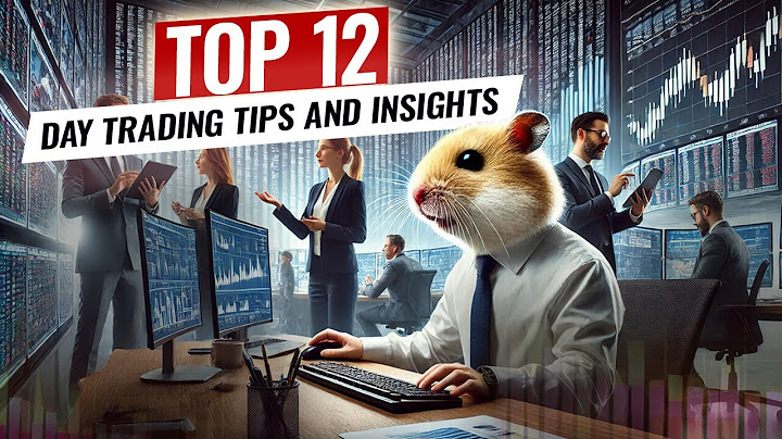 Hamster Rating: TOP 12 Lessons from the Most Successful Day Traders