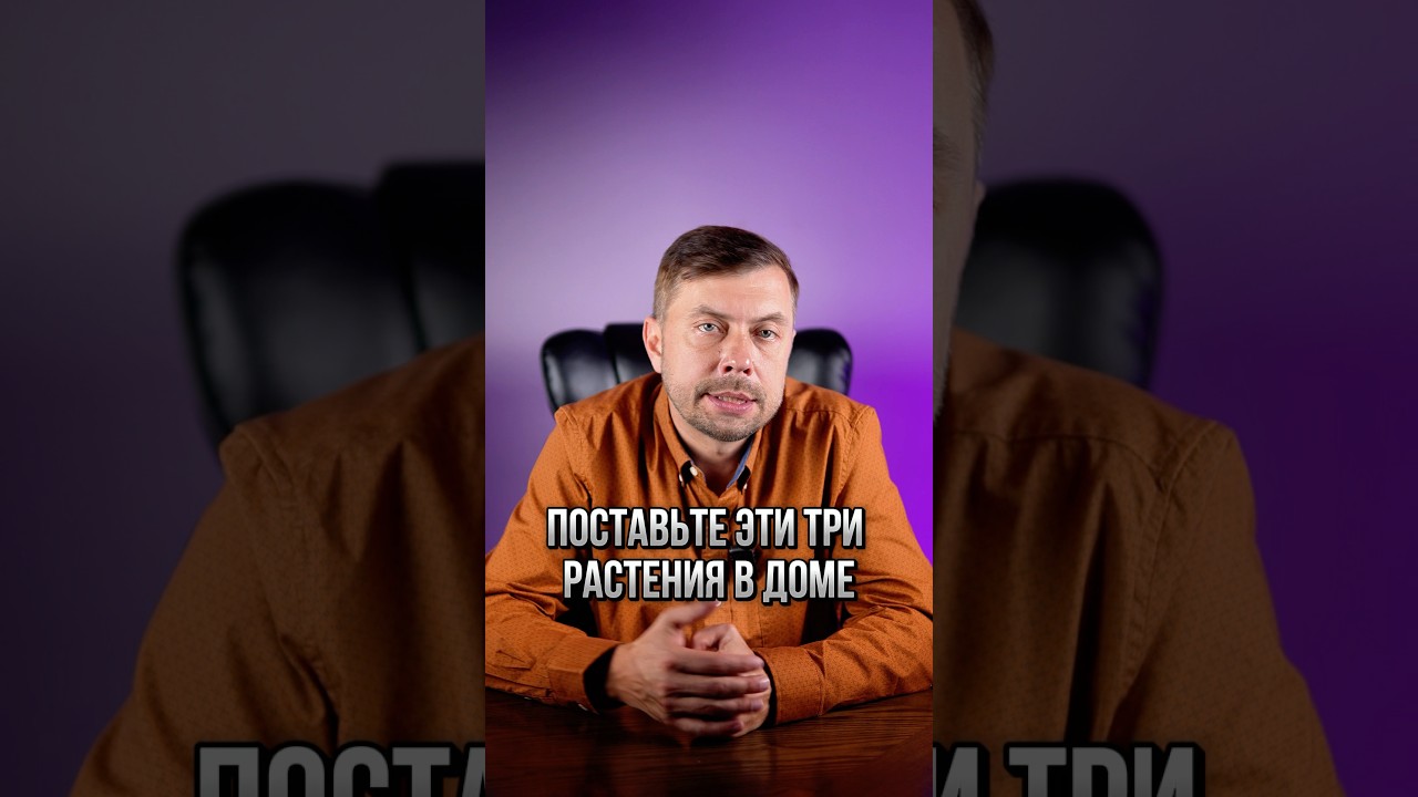 Поставьте  эти три растения в доме #романфад