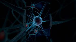 Unraveling the Complexity of the Human Brain and Olympus Mons