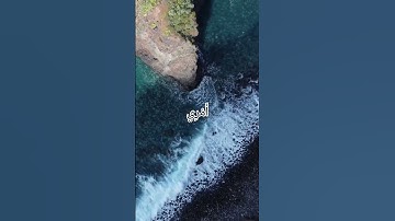 قال يا هارون ما منعك اذ رايتهم ضلوا تلاوة خاشعة للقارئ محمد اللحيدان سورة طه {٩٢- ٩٤} #القرآن_الكريم