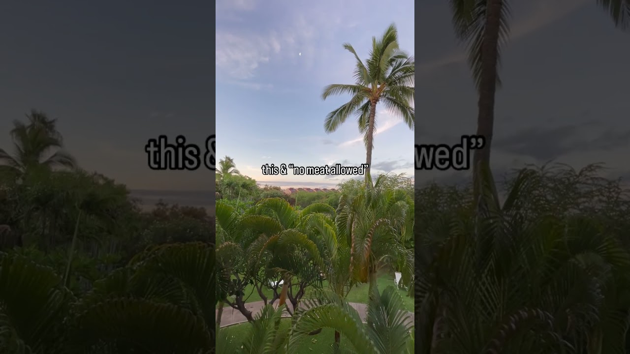 this and no mutilated corpses in the fridge