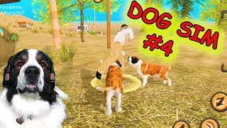 Dog Sim #4. Родился ЩЕНОК. Симулятор собаки онлайн. Прохождение Dog Sim #4. Родился ЩЕНОК. Симулятор собаки онлайн. Прохождение
