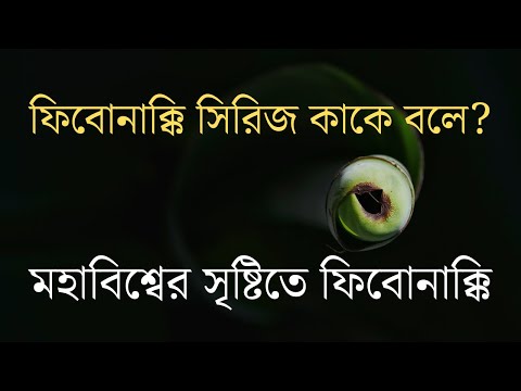 ভিডিও: গণিতে ফিবোনাচি কি?