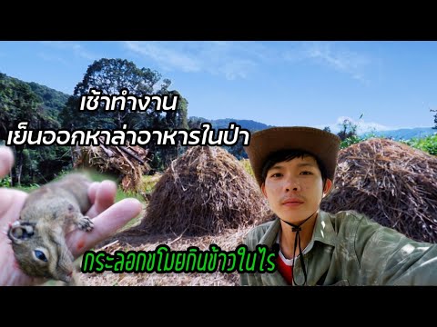 วีดีโอ: ชีวิตในชนบท: สิ่งที่เปลี่ยนทิวทัศน์