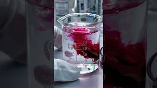 🧪 This Lab Experiment Took a Crazy Turn! 😱 #usa #usashorts #shorts