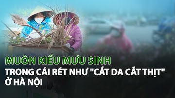 Muôn kiểu Mưu Sinh trong cái Rét như "Cắt da cắt thịt" ở Hà Nội| VTC14