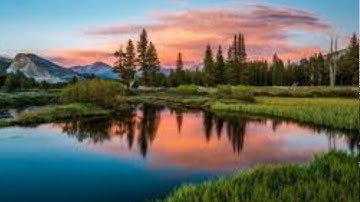 (إن ربك هو أعلم بمن ضل عن سبيله ) تلاوة رائعة للشيخ وديع اليمني