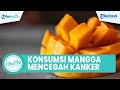 Lansia yang Kesepian Berisiko Alami Malnutrisi