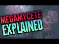 Megamycete + Mold EXPLAINED! ALL Hidden Lore - Resident Evil Village