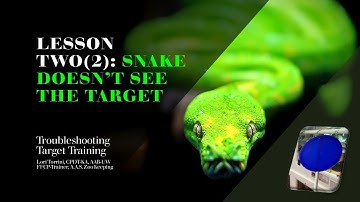 Troubleshooting Target Training Lesson Two (2): Snake Doesn