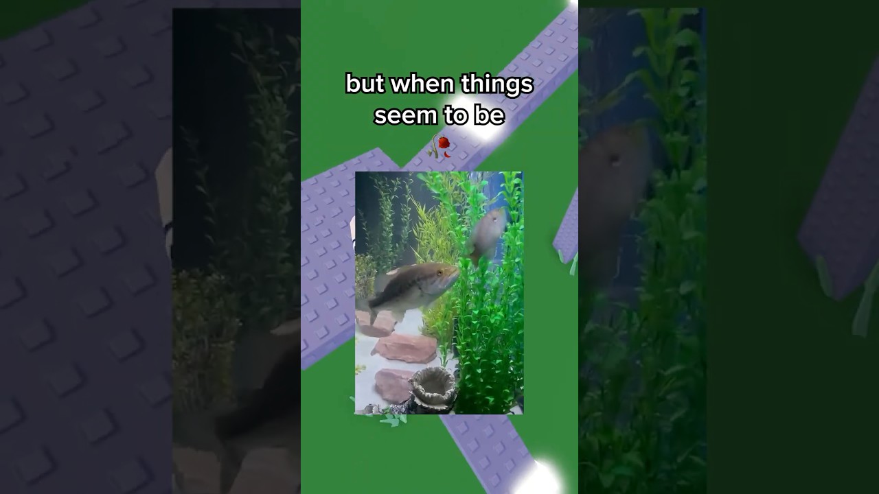 He Tried Finding His Pet Bass a Friend 😭🙏 #roblox #robloxrant #rblx #relatable #rorants