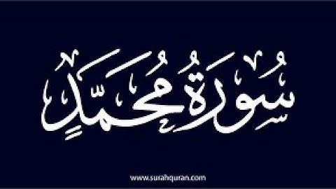 03- سورة محمد إلى19