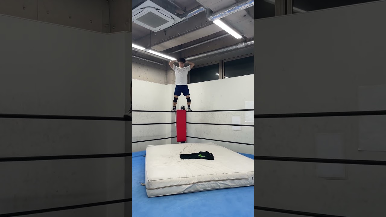 ファイヤーバード研究中 